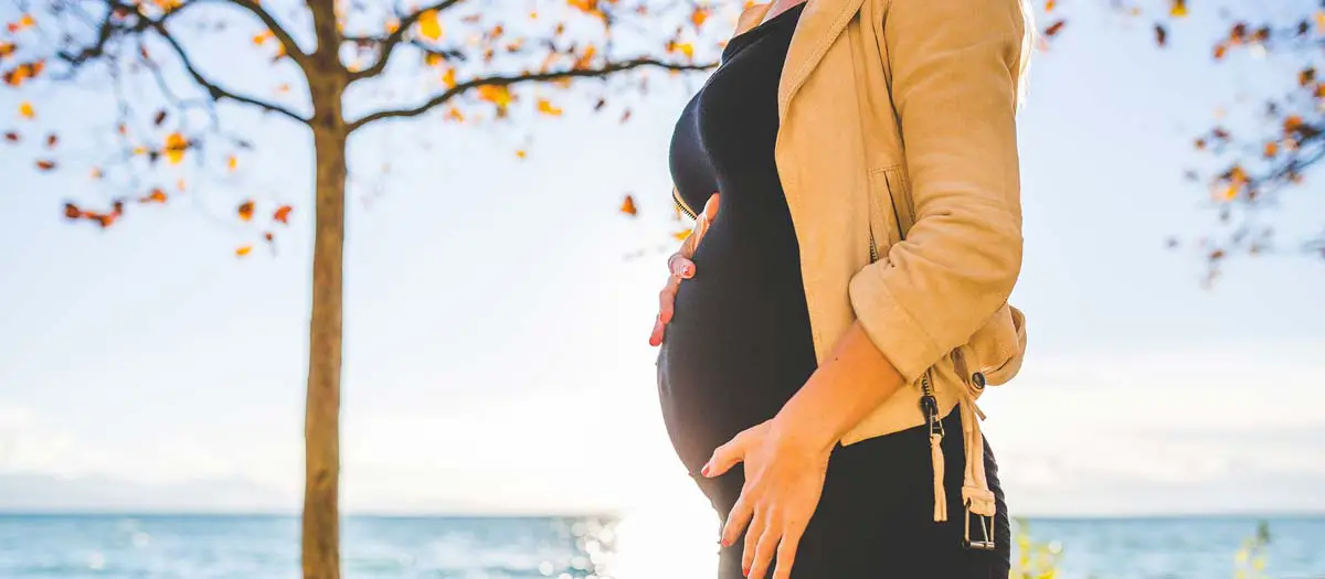 Johanniskraut Schwangerschaft: Wir vorsichtig sollte man sein? 1